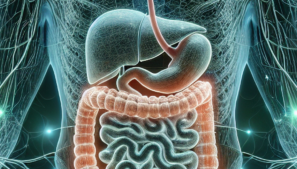 תמונה ראשית