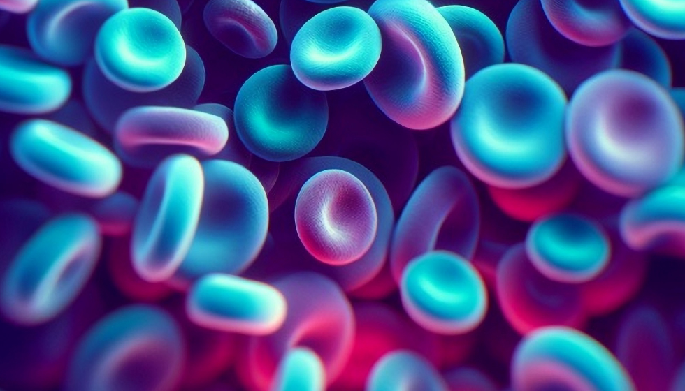 תמונה ראשית