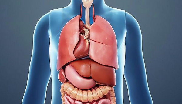 תמונה ראשית