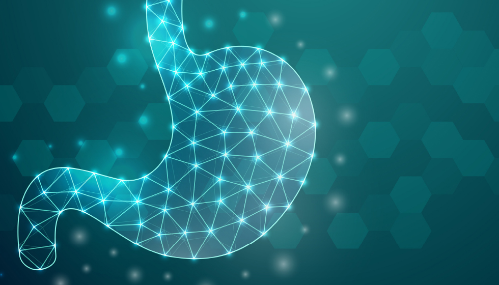 תמונה ראשית