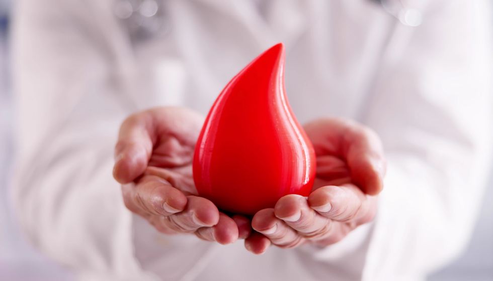 תמונה ראשית