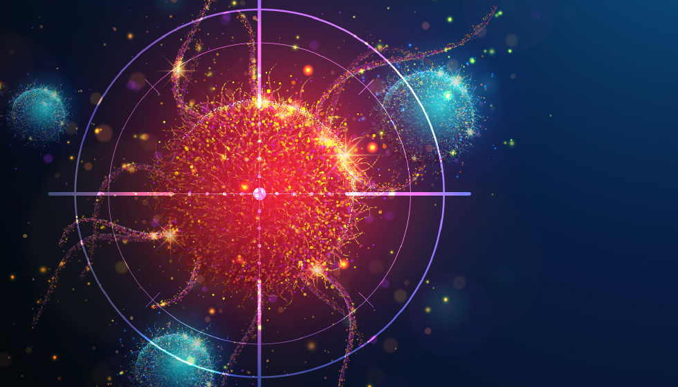 תמונה ראשית