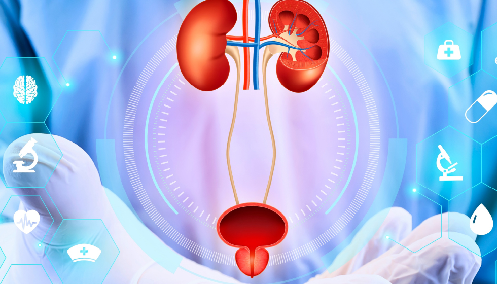 תמונה ראשית