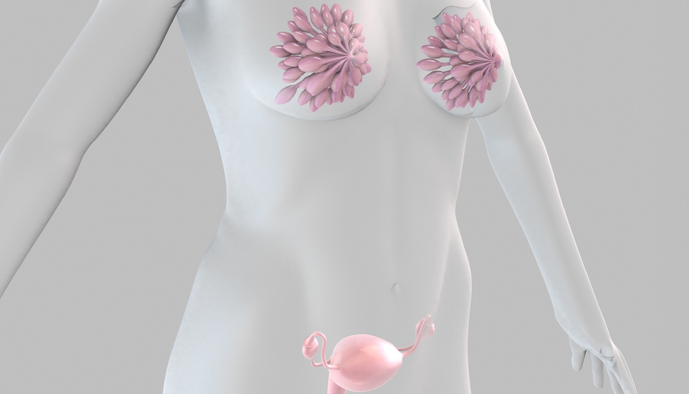 תמונה ראשית