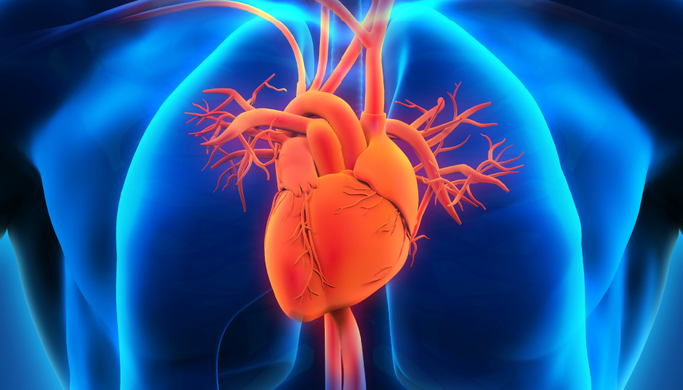 תמונה ראשית