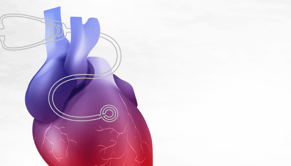 תמונה ראשית