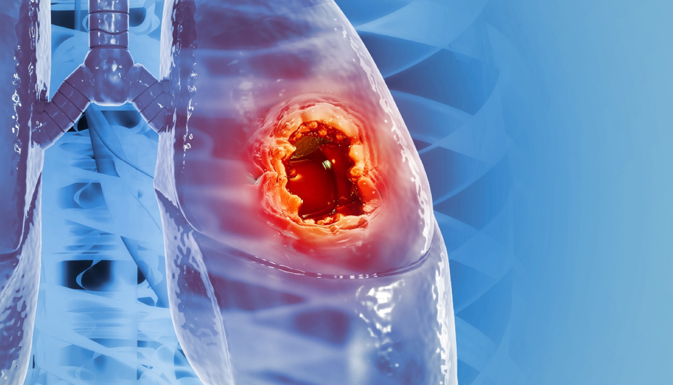 תמונה ראשית