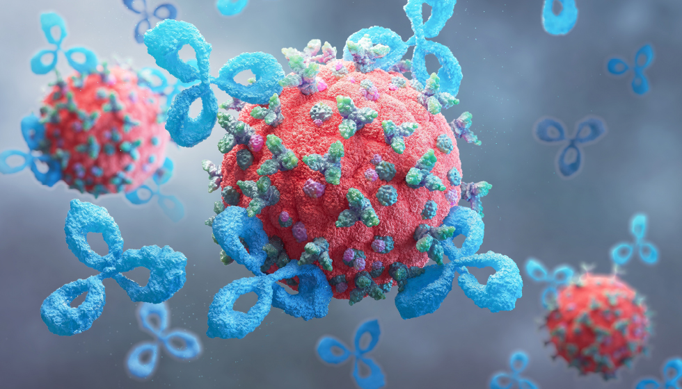 תמונה ראשית