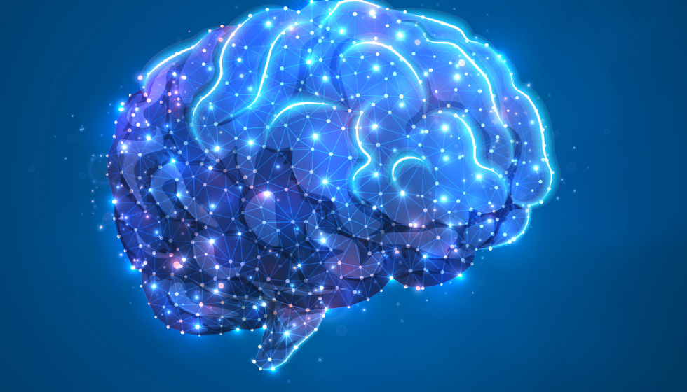 תמונה ראשית