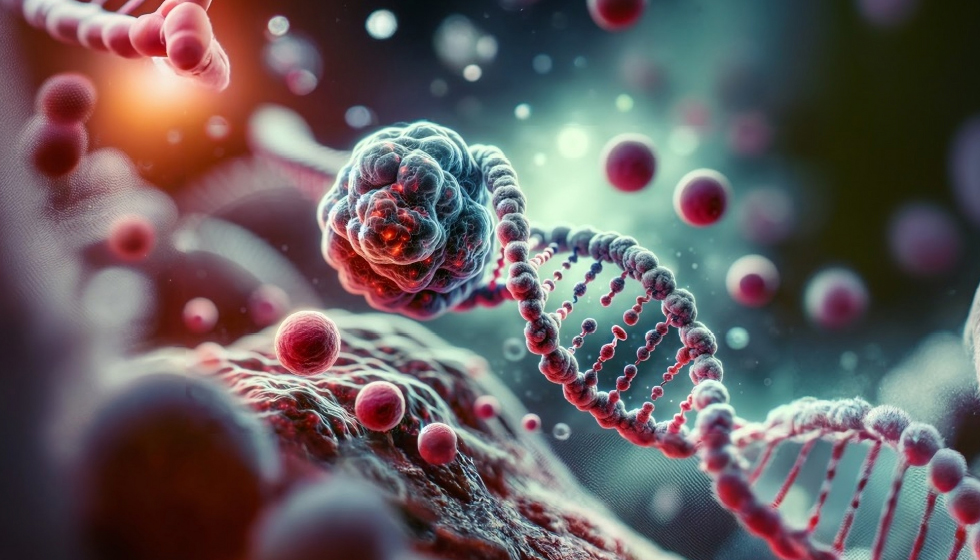 תמונה ראשית