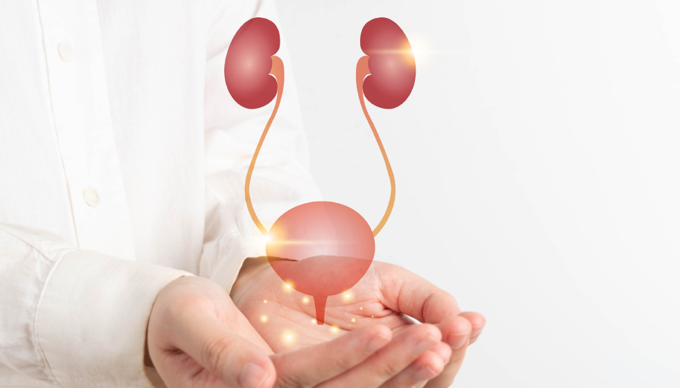 תמונה ראשית