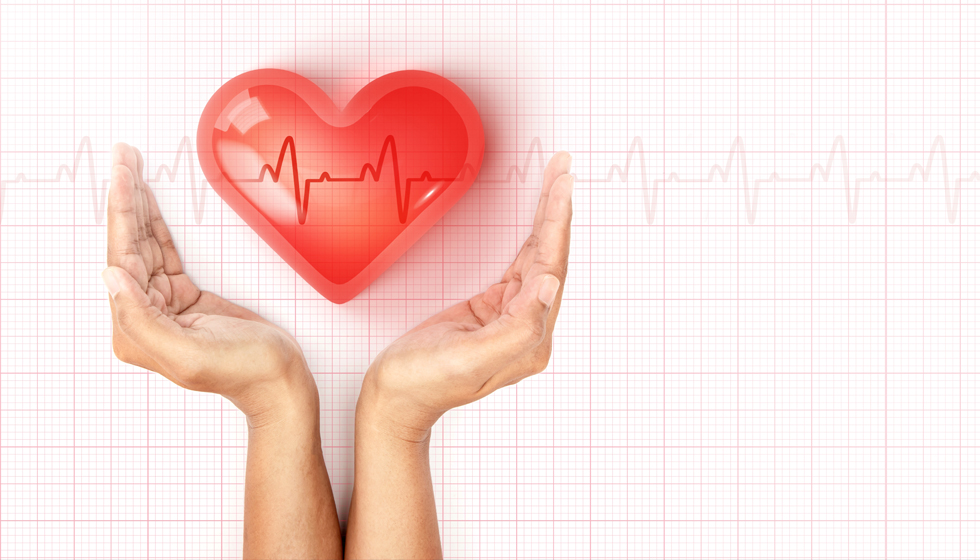 תמונה ראשית