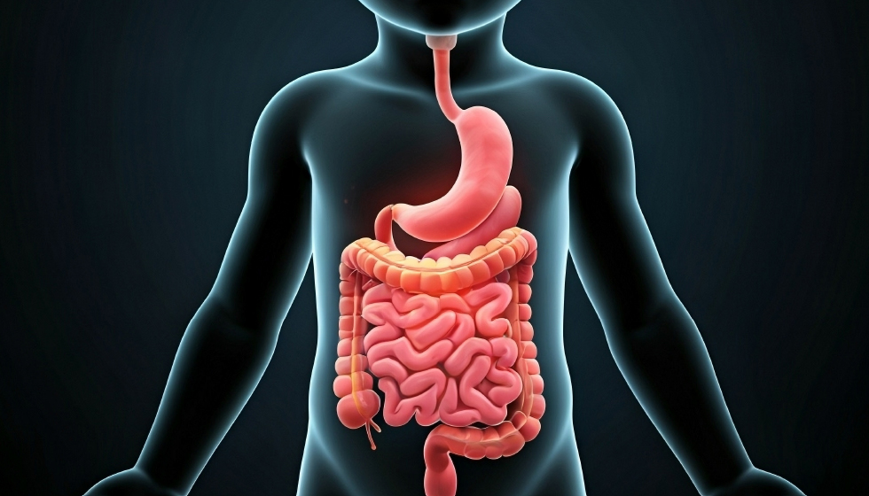 תמונה ראשית