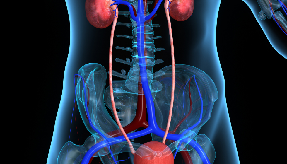 תמונה ראשית