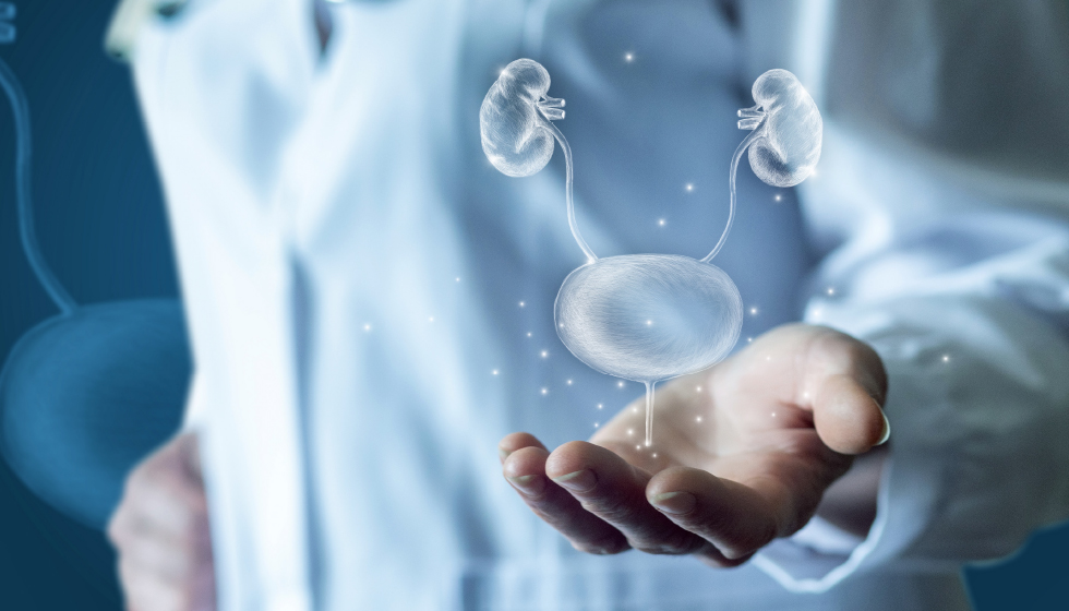 תמונה ראשית